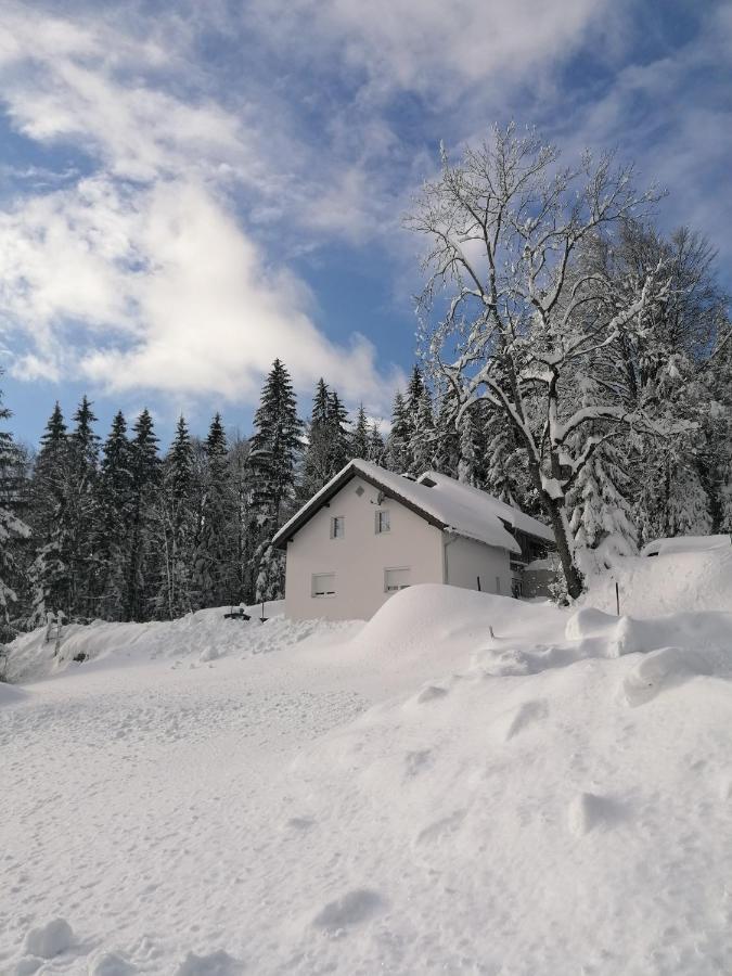 Ferienhaus Ploeckenstein Schwarzenberg am Bohmerwald المظهر الخارجي الصورة