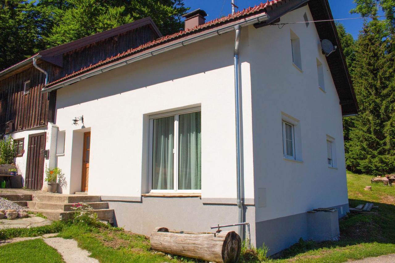 Ferienhaus Ploeckenstein Schwarzenberg am Bohmerwald المظهر الخارجي الصورة