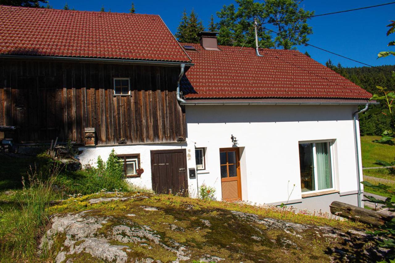 Ferienhaus Ploeckenstein Schwarzenberg am Bohmerwald المظهر الخارجي الصورة