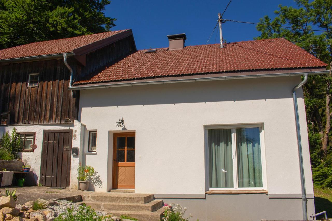 Ferienhaus Ploeckenstein Schwarzenberg am Bohmerwald المظهر الخارجي الصورة