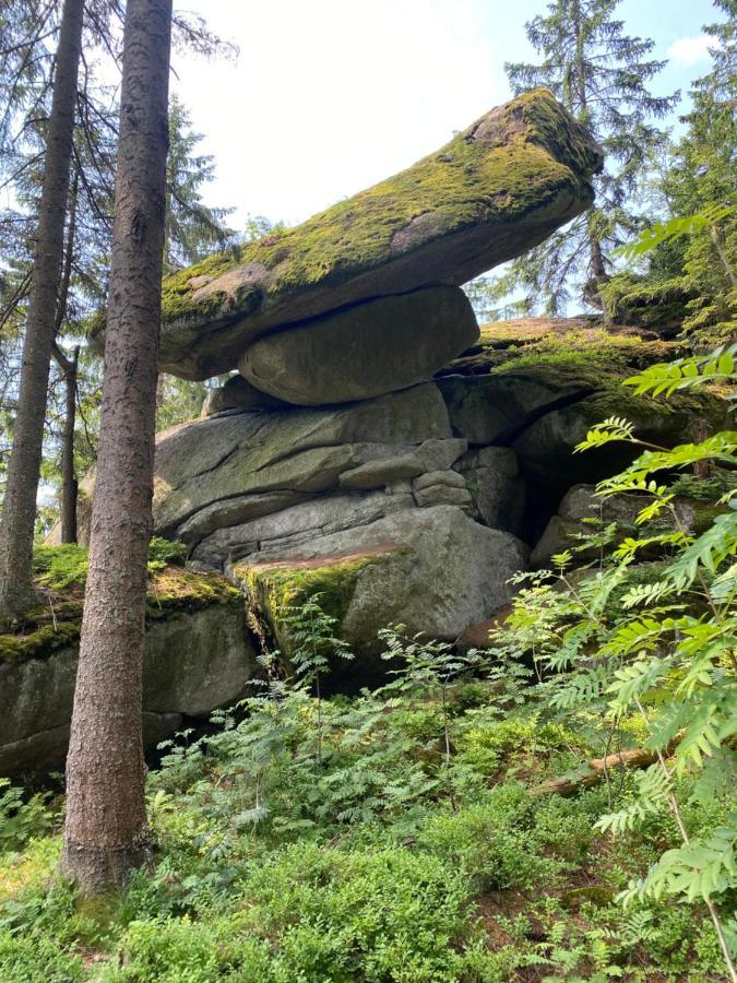 Ferienhaus Ploeckenstein Schwarzenberg am Bohmerwald المظهر الخارجي الصورة